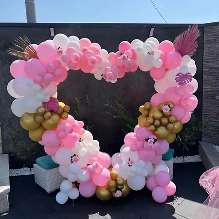 Vidovic * Banja Luka